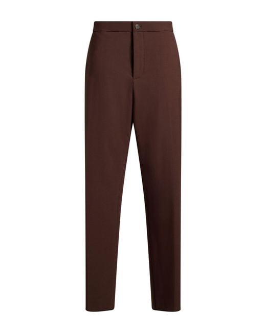 Antonelli Brown Pants Polyester, Virgin Wool, Elastane