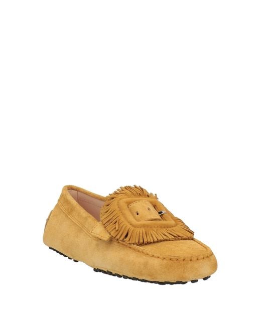 Tod's Brown Loafer