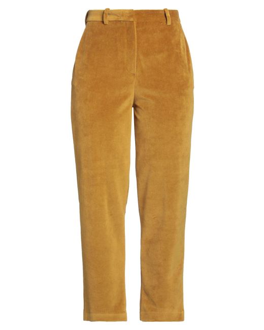 Circolo 1901 Yellow Trouser