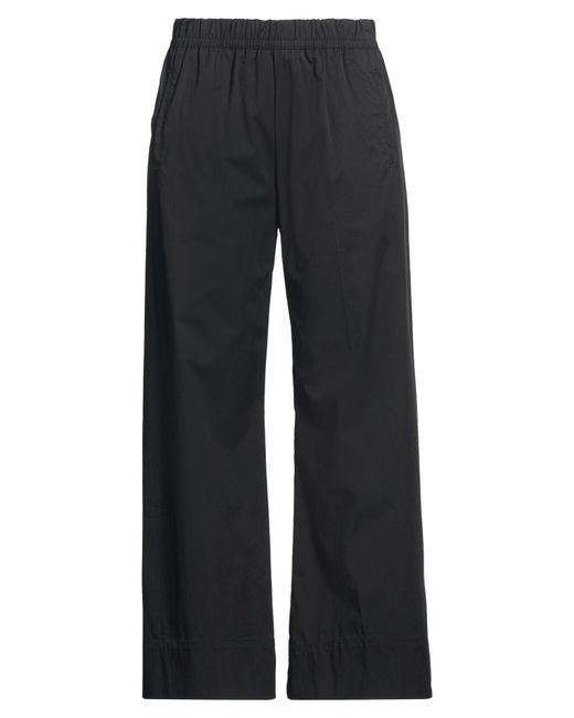 CIGALA'S Blue Pants Cotton, Nylon, Elastane