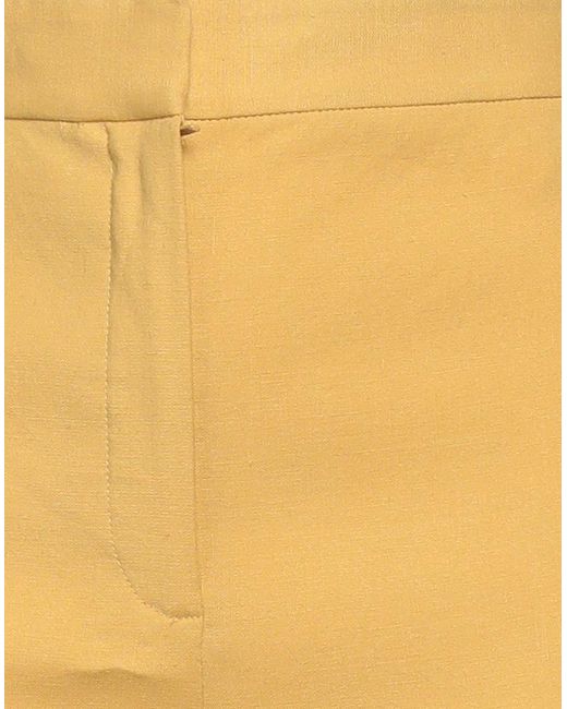 Theory Yellow Hose