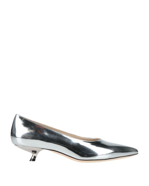 Theory Metallic Pumps