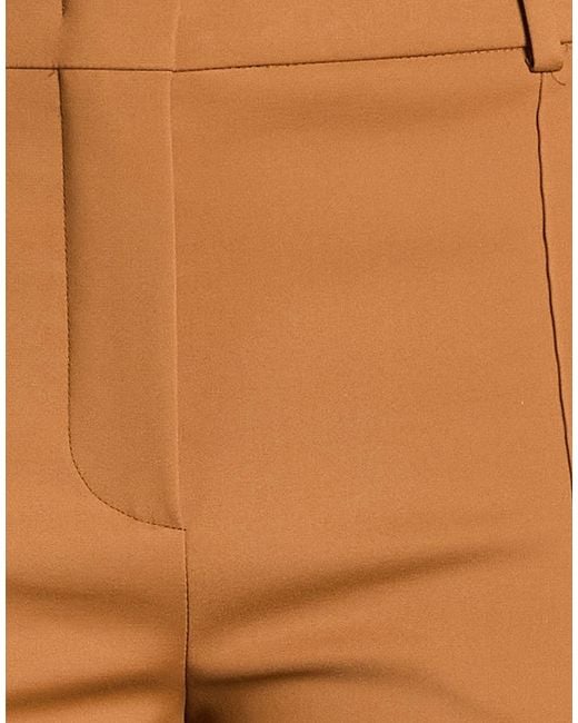 Sportmax Brown Pants Cotton, Polyamide, Elastane