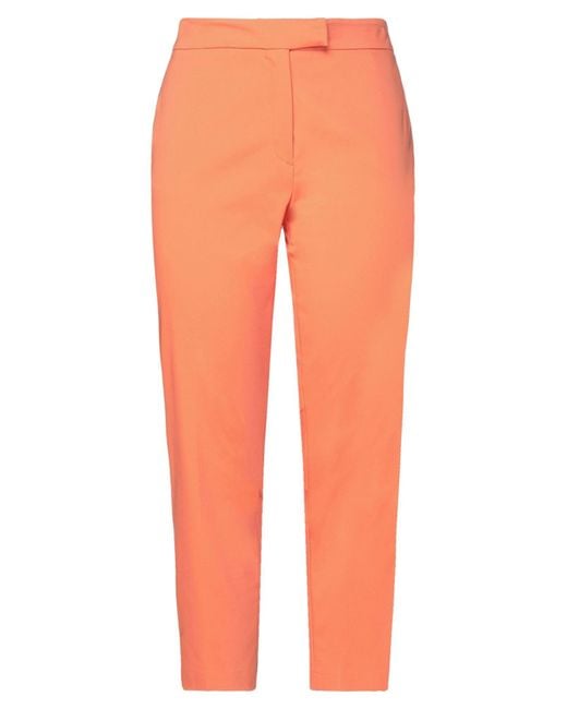 Clips More Orange Trouser