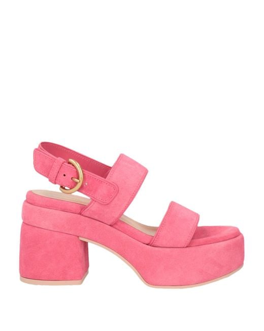 Gianvito Rossi Pink Sandals
