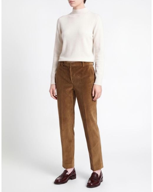 Circolo 1901 Brown Trouser