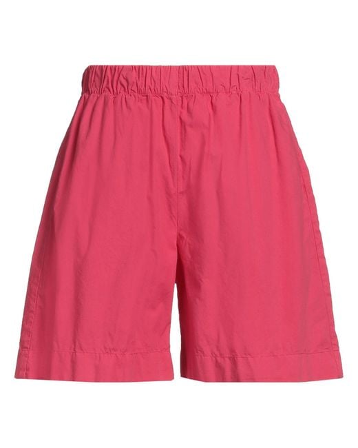 Accademia Red Shorts & Bermuda Shorts