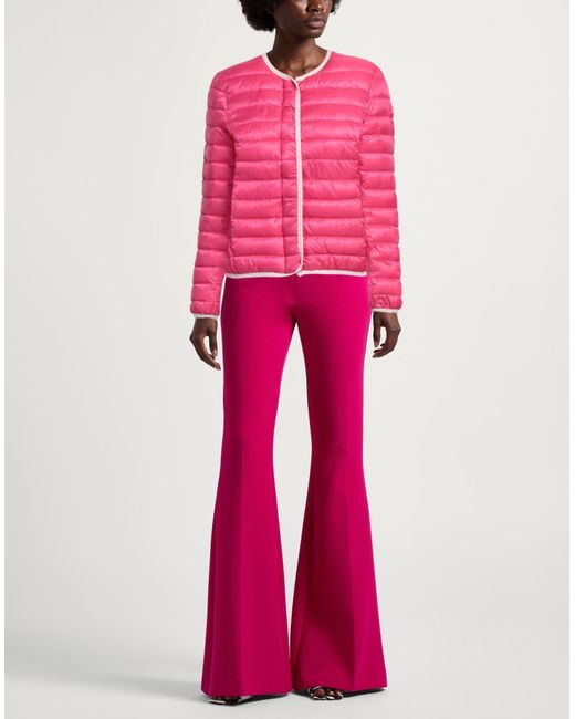 Canadian Pink Puffer