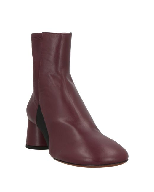 Proenza Schouler Purple Ankle Boots