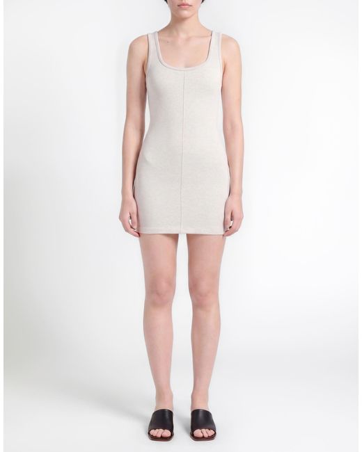 Alexander Wang Gray Mini Dresses