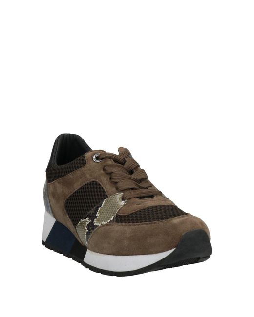 Longchamp Brown Trainers