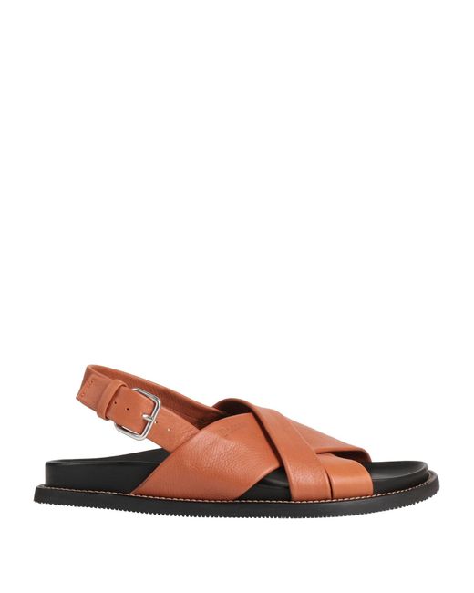 Pollini Brown Sandals for men