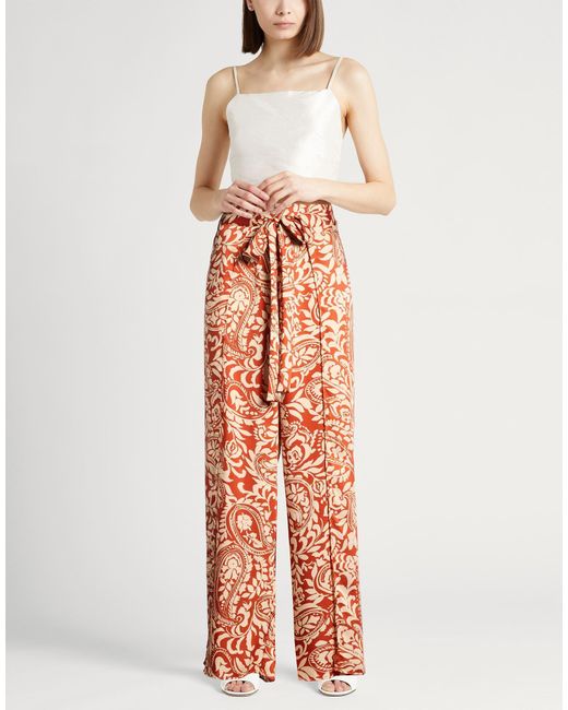 Liu Jo Orange Pants