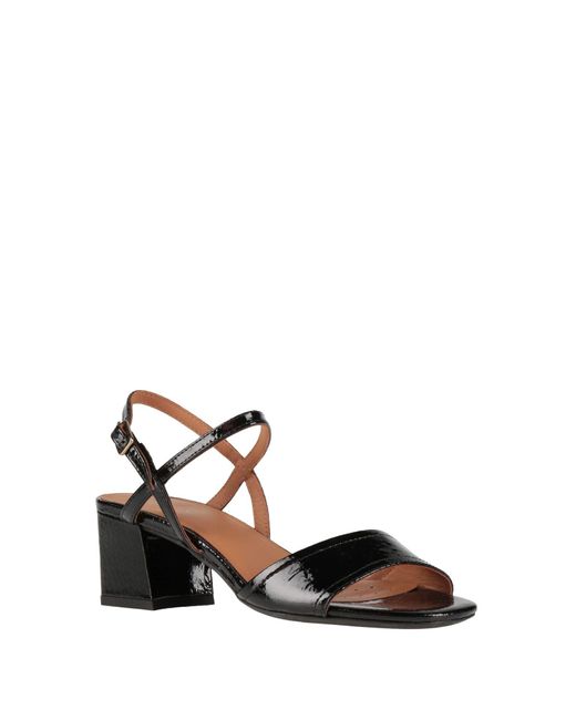Geox Black Sandals