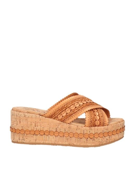 Casadei Brown Mules & Clogs