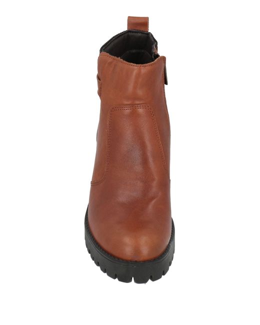 Igi&co Brown Ankle Boots Calfskin