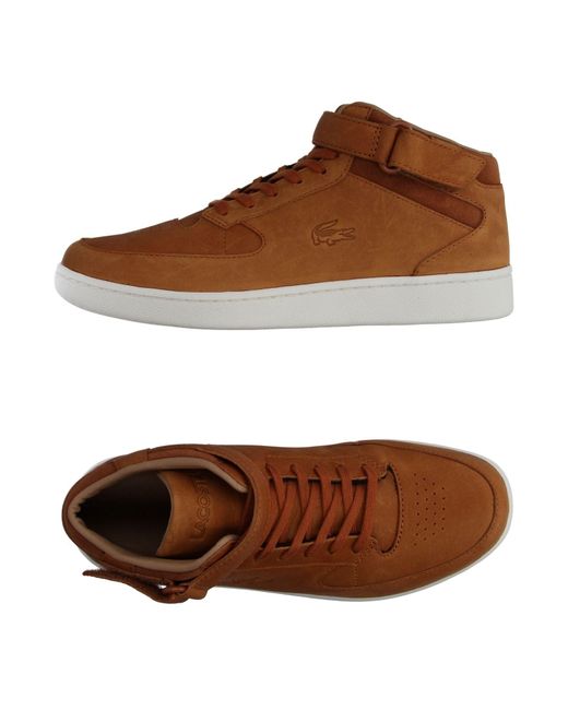 lacoste sneakers brown
