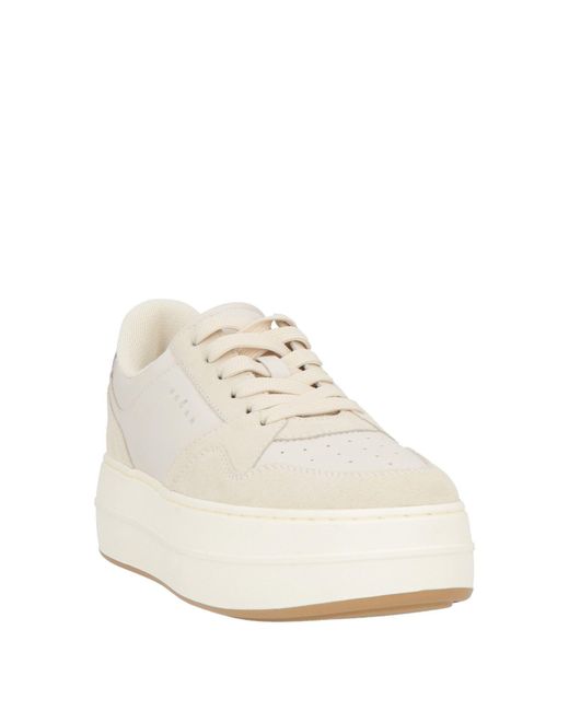 Hogan White Sneakers Leather