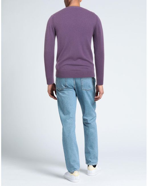 Diktat Purple Jumper for men