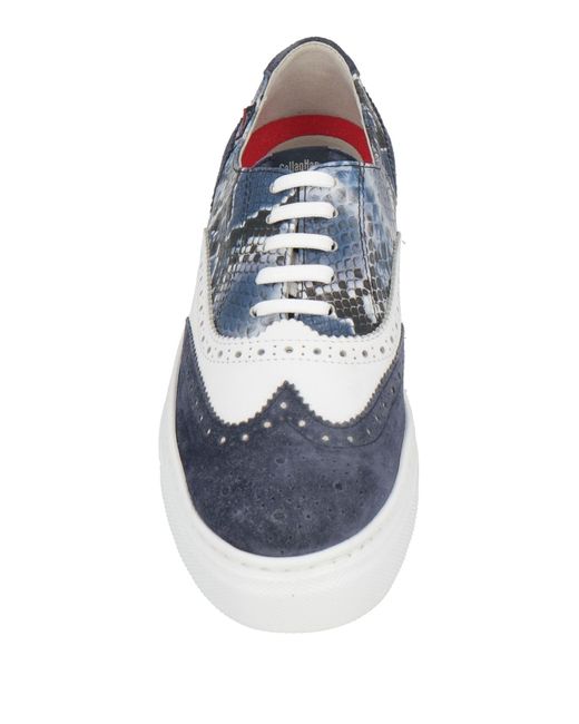 Callaghan Blue Lace-up Shoes