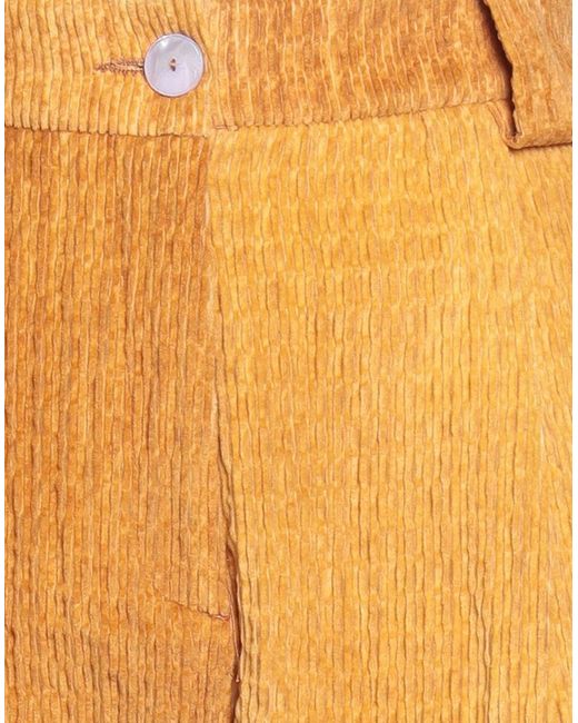 Momoní Orange Marigold Pants Cotton, Elastane