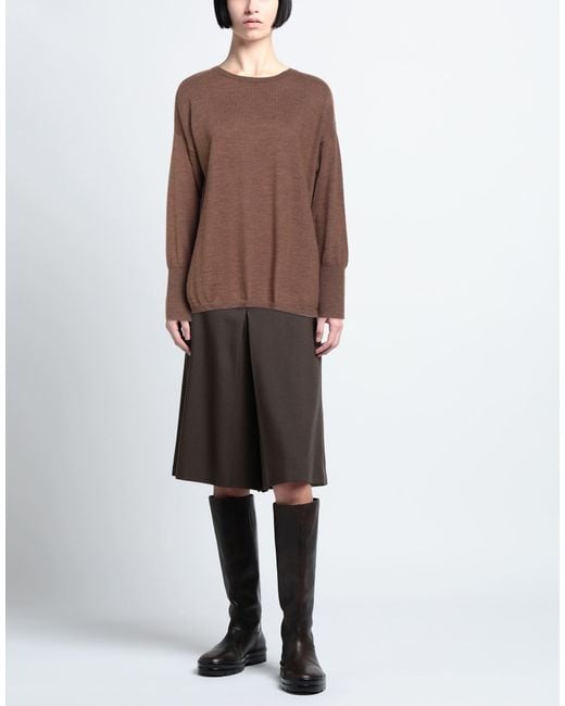 Aragona Brown Sweater