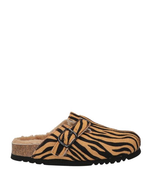 Scholl Brown Mules & Clogs