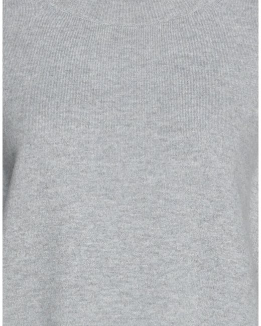 Alberta Ferretti Gray Jumper