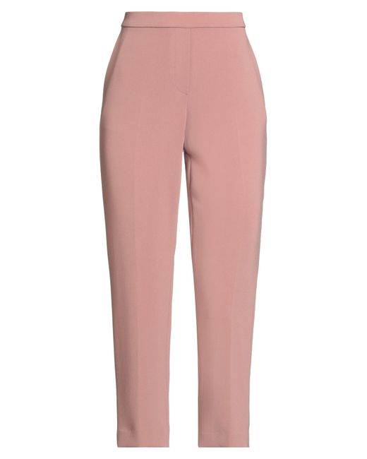 Theory Pink Trouser