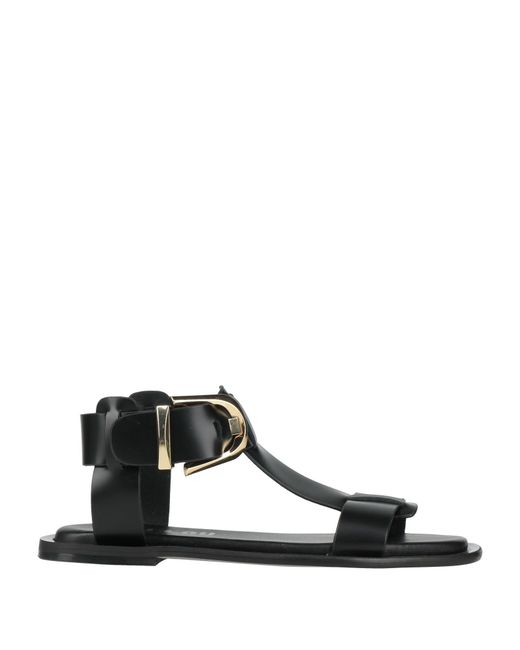 Bibi Lou Black Sandals