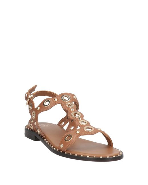 Ash Brown Sandals