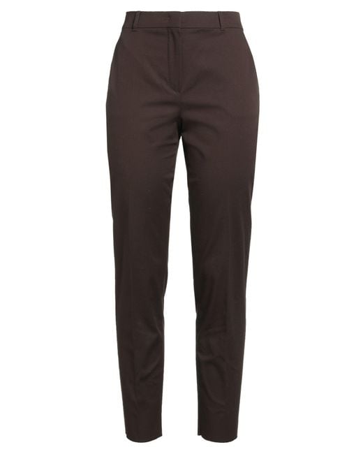 Max Mara Brown Pants Cotton, Elastane