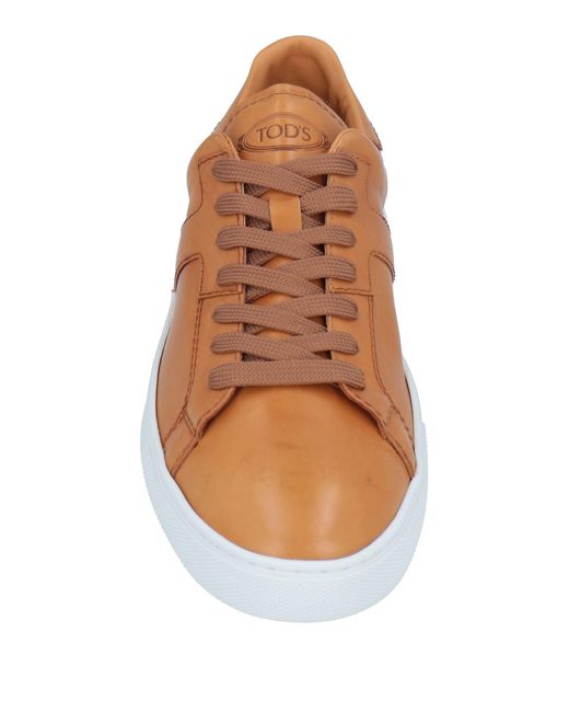 Tod's Brown Trainers for men