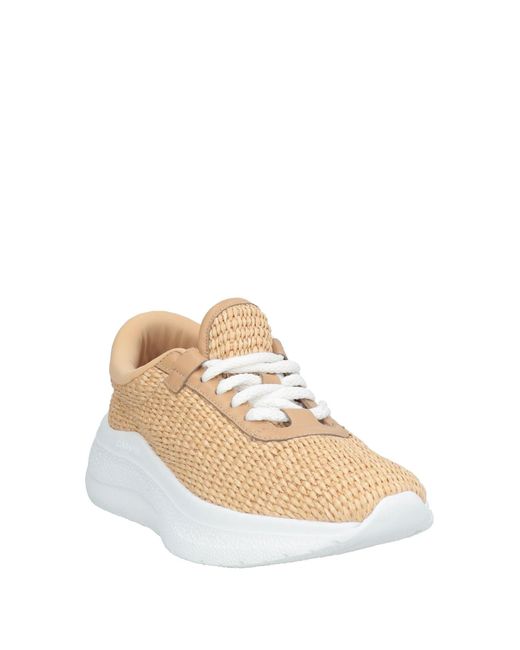 Sneakers Casadei en coloris Multicolor