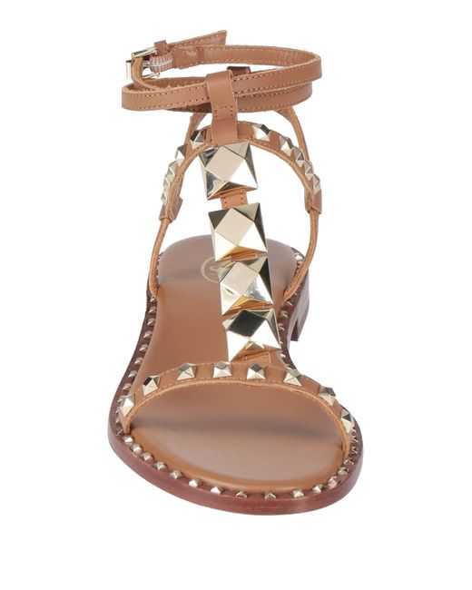 Ash Brown Sandals