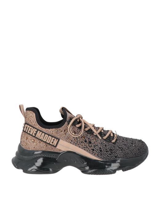 Steve Madden Brown Trainers