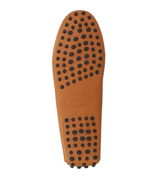 Tod's Brown Loafer