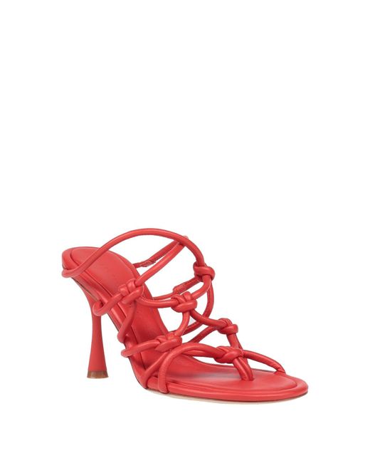 STUDIO AMELIA Pink Thong Sandal