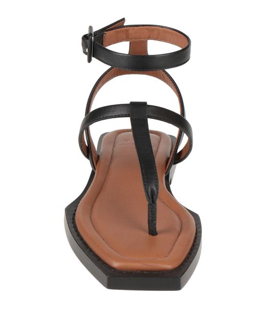 AMI Brown Thong Sandal