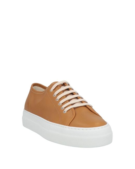 Common Projects Brown Sneakers