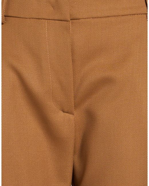 Grifoni Brown Trouser