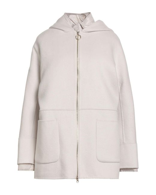 Hox Gray Coat