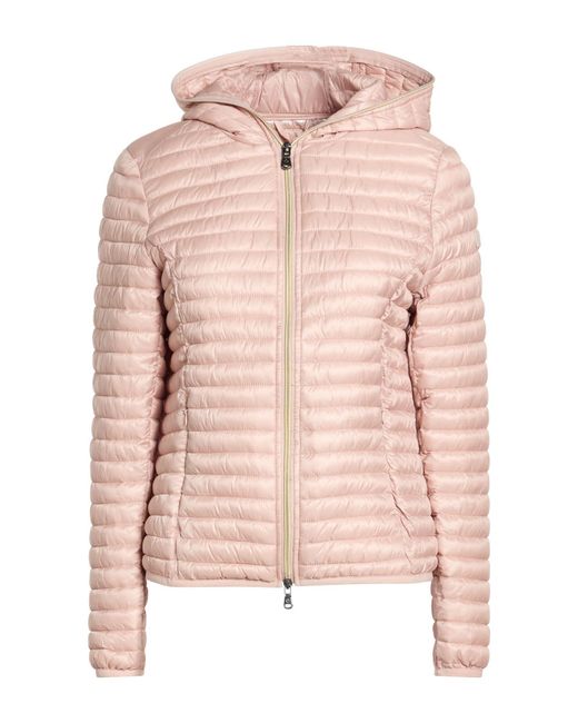 Canadian Pink Puffer