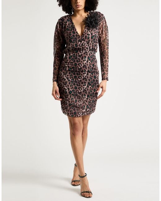 Gaelle Paris Brown Noir Mini Dress Polyester