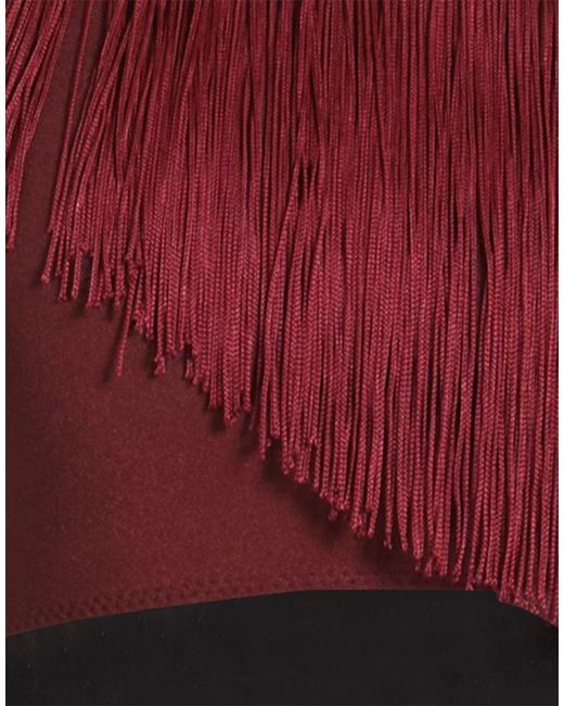 Forte_forte Red Top