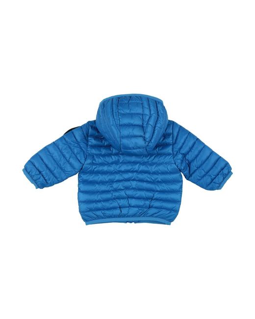 Bomboogie Blue Puffers