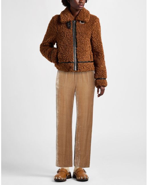 Antonelli Brown Hose