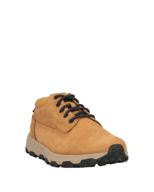 Timberland Brown Trainers for men