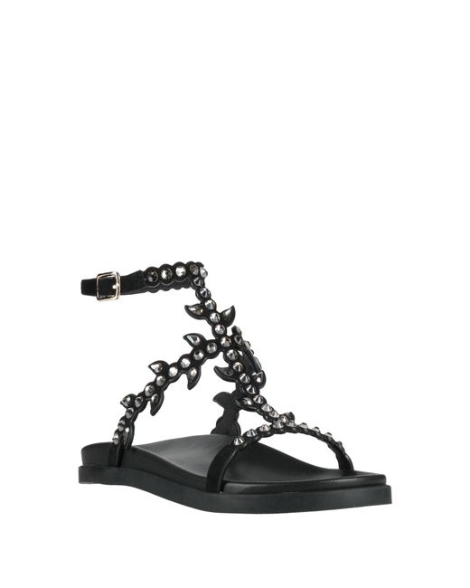 Emanuélle Vee Black Sandals