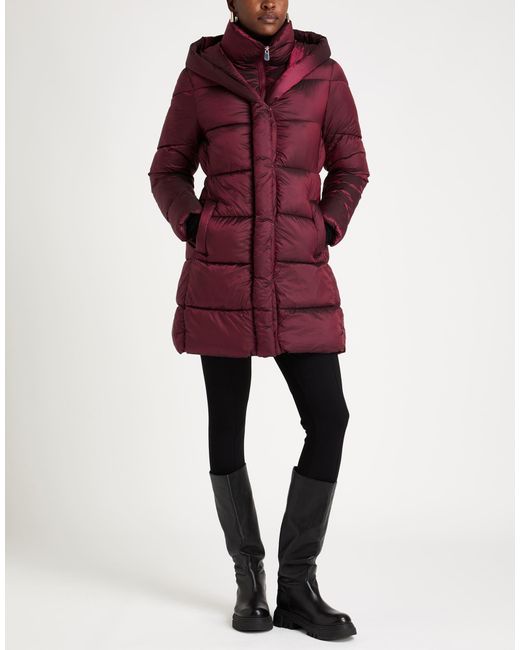 Oltre Red Puffers
